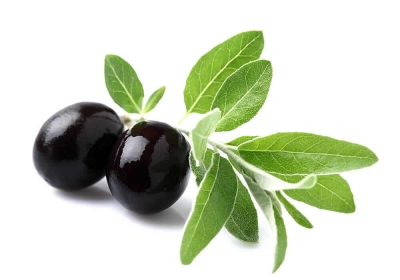 Černé olivy